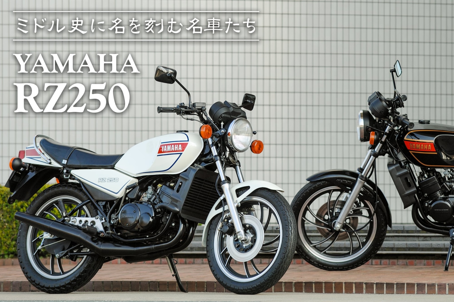 Vol Yamaha Rz