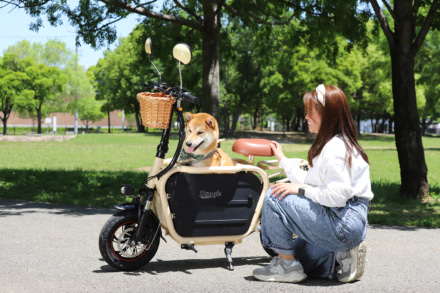 愛犬・愛猫家な人にオススメしたい！　電動バイクなら愛犬と旅もできる 普通免許で乗れる電動原付一種バイク“Doggie”9月ごろ発売