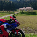 遠くの桜とバイク
