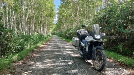 北海道の林道