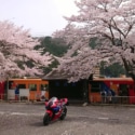 無人駅めぐり　高科駅